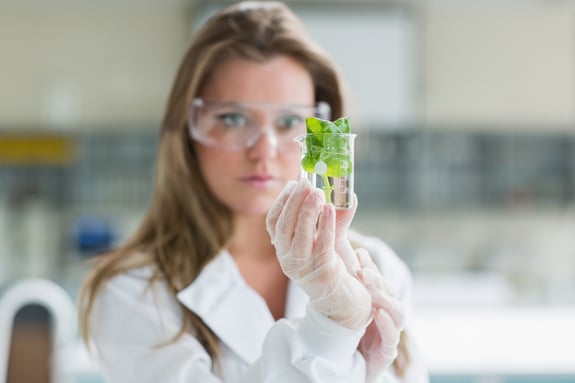Concentrate woman standing at the laboratory holding a glass with plant